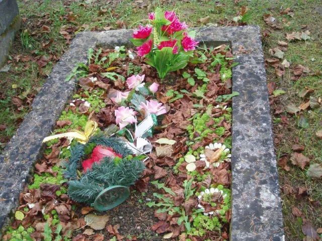 p1010009