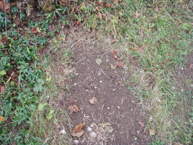 p1010083
