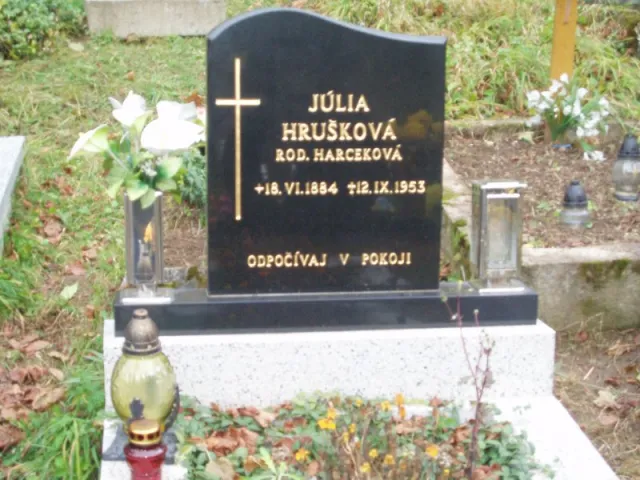 p1010049