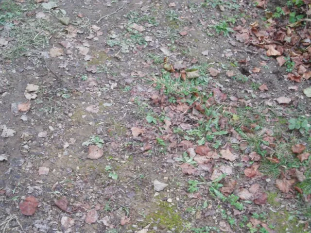 p1010046