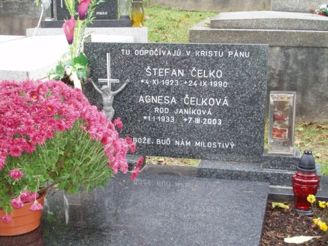 p1010016