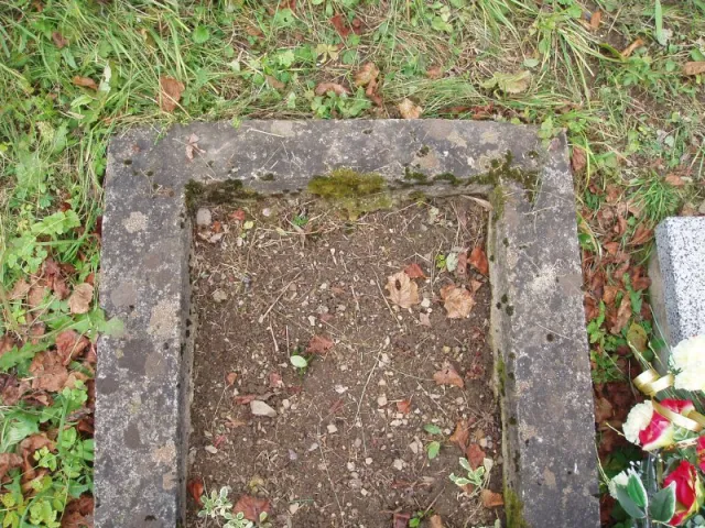 p1010074